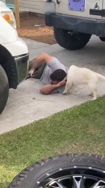 Dad, I'm helping!