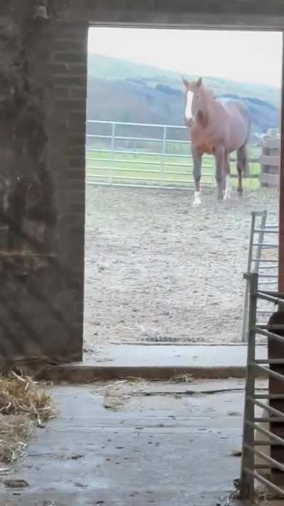 He does lap after lap after lap...