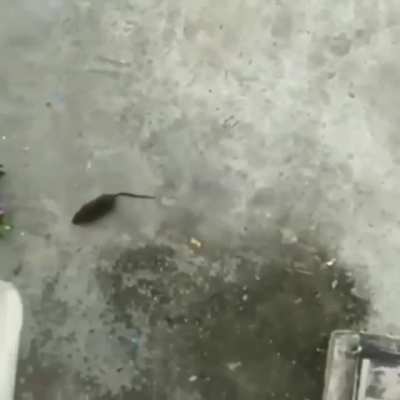 Yolladım gitmedi Bende icabına baktım &ouml;z&uuml;r dilerim Nude atmadınız nsfw
