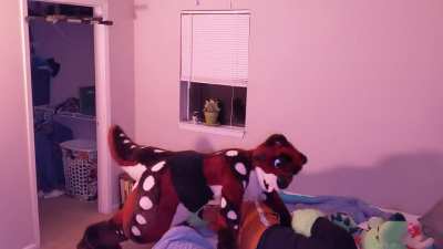 furry🛌irl