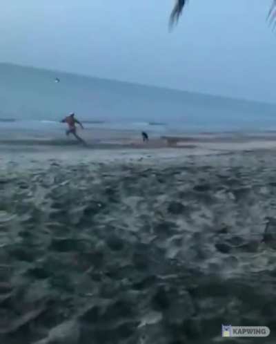 Tried to kick a dog = instant karma