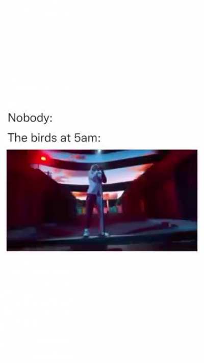 True