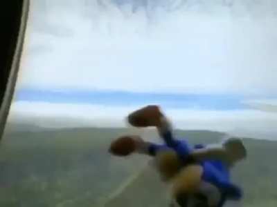 Sonic Rule