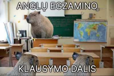 Ar grotuvo garsas gerai girdimas?