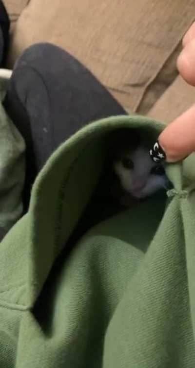 Peek a boo
