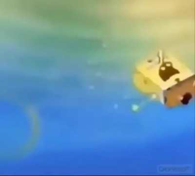 You&rsquo;re homosexual 🙀 Spongebob said so