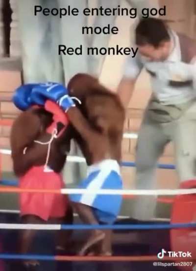 Mono batalla mono batalla