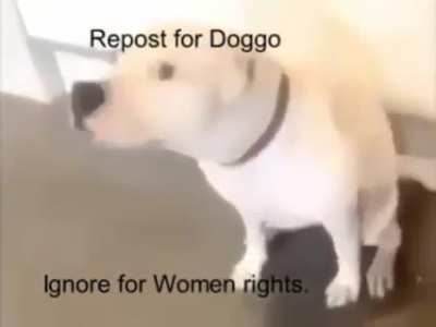 Sorry guys, just doing my job