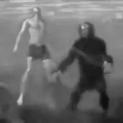 Monkey 😭😭😭