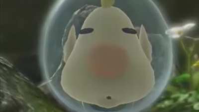 who&rsquo;s that pikmin!!! new challenge every day! challenge #1: good luck!