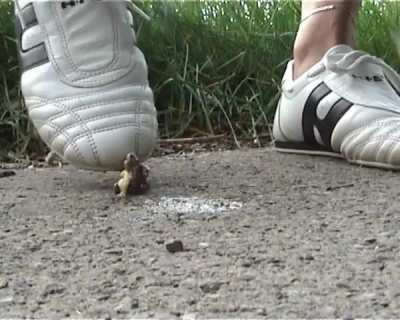 Sneakers crushing slug 1