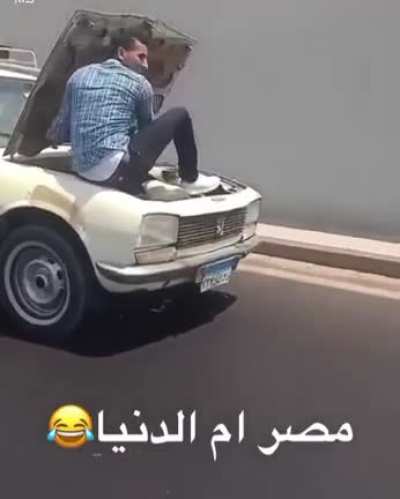 Idiots on Cars