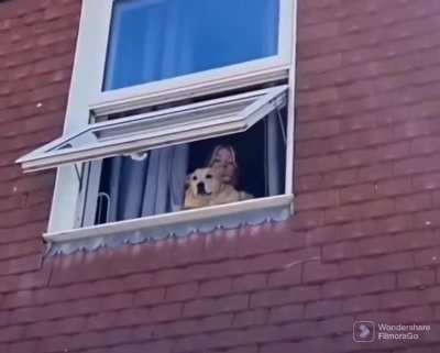 Say goodbye to the kids (sound on)