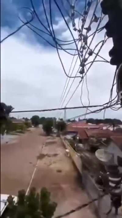 Perfectly cut screams