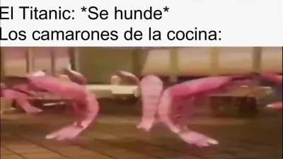 En verdad el Titanic tenia camarones en el men&uacute;
