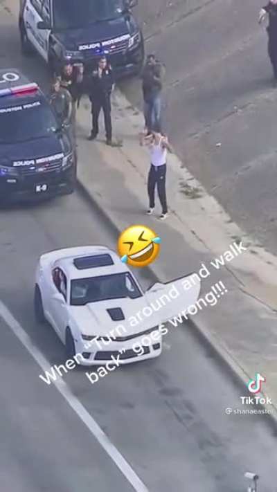 Did the cops stop working or did the criminal?