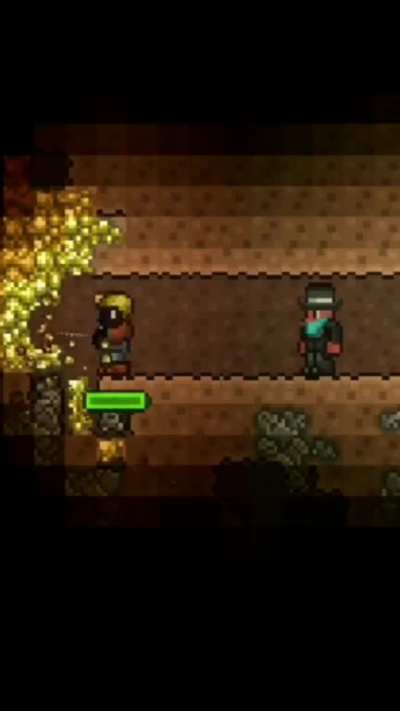Terraria in 1800s