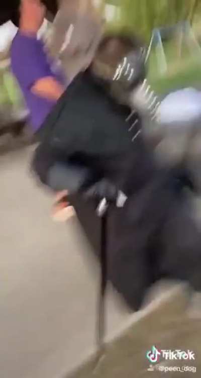 Lol