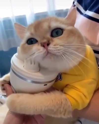 OLUM &Ccedil;OK TATLI LAAAAAAAN
