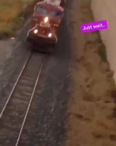 Bitch I&rsquo;ll show you how a honk sounds