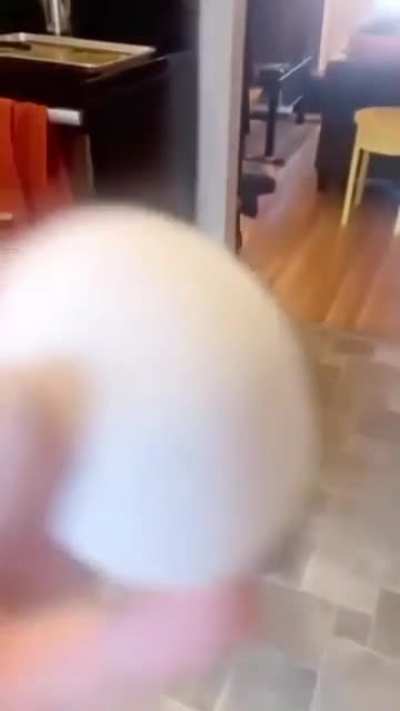 to hold the egg