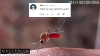 Her g&uuml;n bir deep turkish web video serisi #19.G&uuml;n