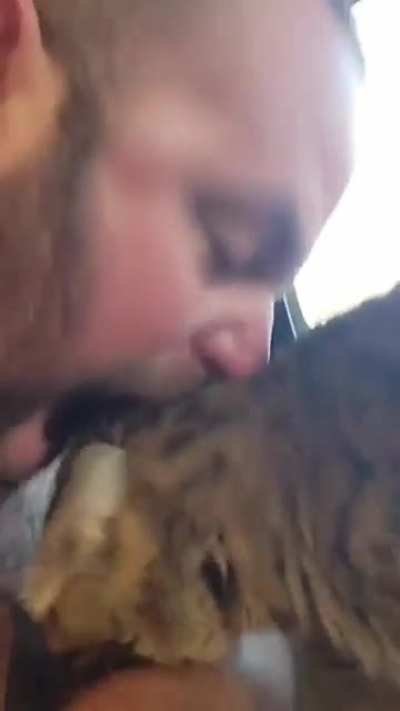 WHY MR CAT?