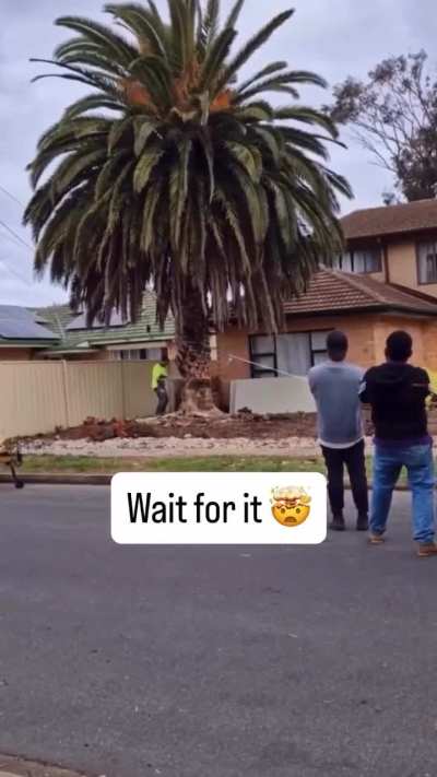WCGW when low bid wins