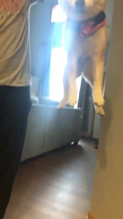I believe I can fly