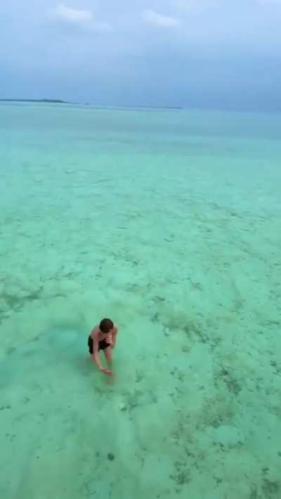 SHARKS HAVE SEX WITH A LITTLE BOY