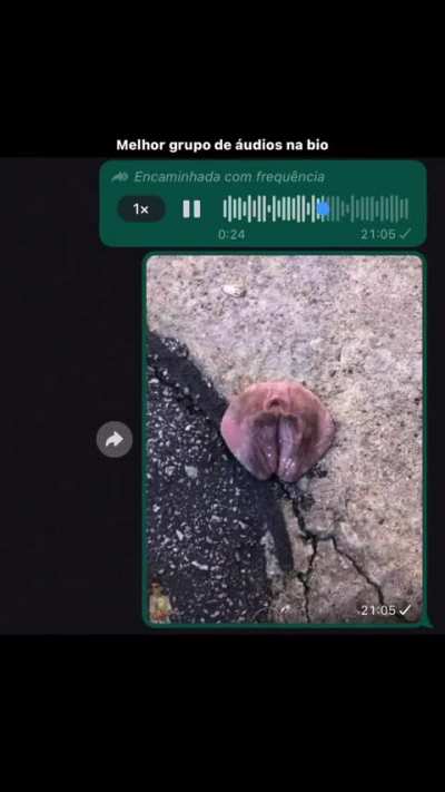 Perderam a periquita no bloquinho, &eacute; de algum membro do sub kkkkk