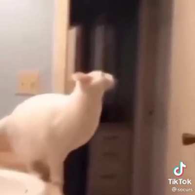 😯