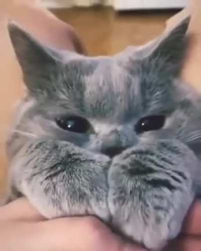 Looks so soft!