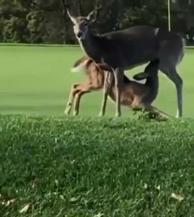 They&rsquo;re evolving