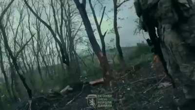 Pulled from telegram - Donetsk region pov 