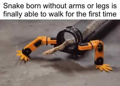 Such a wholesome moment