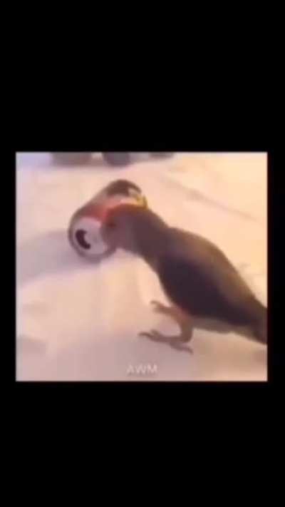 🗿🗿🗿