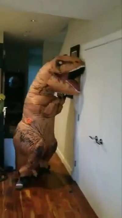 AAAAAAAAAAAAAAAAAAA