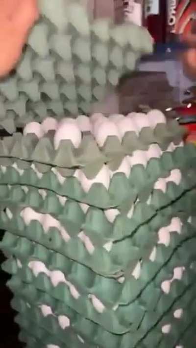 A bandeja de ovo t&aacute; cara pra crlh