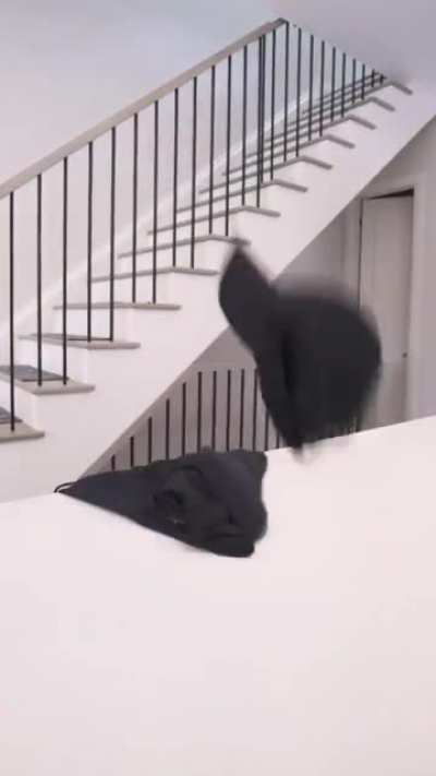 A collection of Kevin Parry turning into random objects.