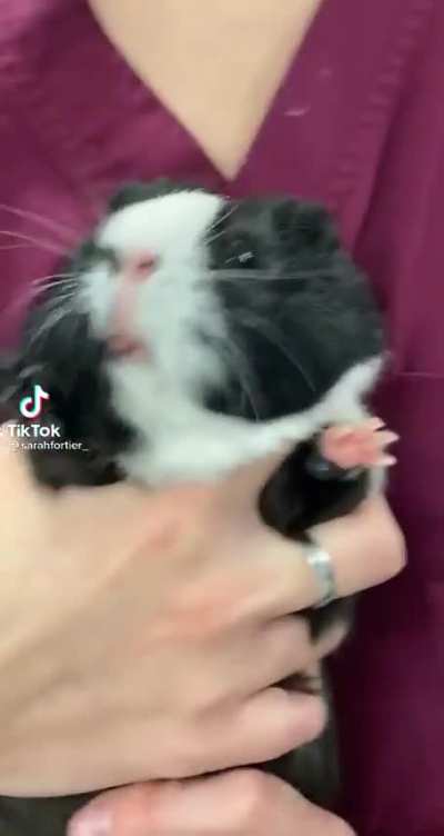 Oh no, he hates it