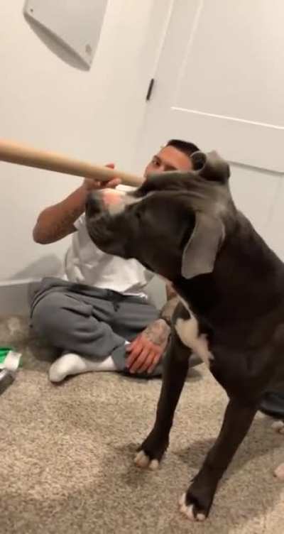 "Hooman... what kind of sorcery is this?"