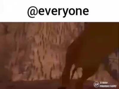 O no 😨