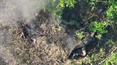 NSFW: Brutal footage of Ukrainian drone dropping ammunition on Russian soldiers in a forest strip, causing serious injuries to the enemies