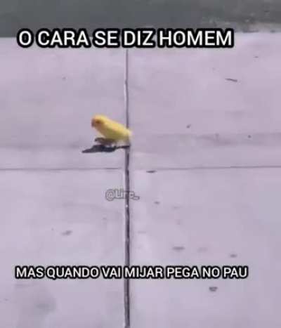 Ele é