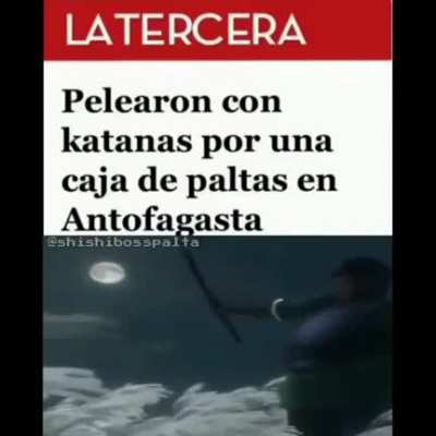 CONTEXTO: EN CHILE LAS PALTAS/AGUACATES SON MUY CARAS
