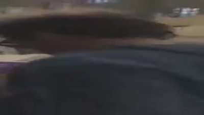 Wide Hobo Walking