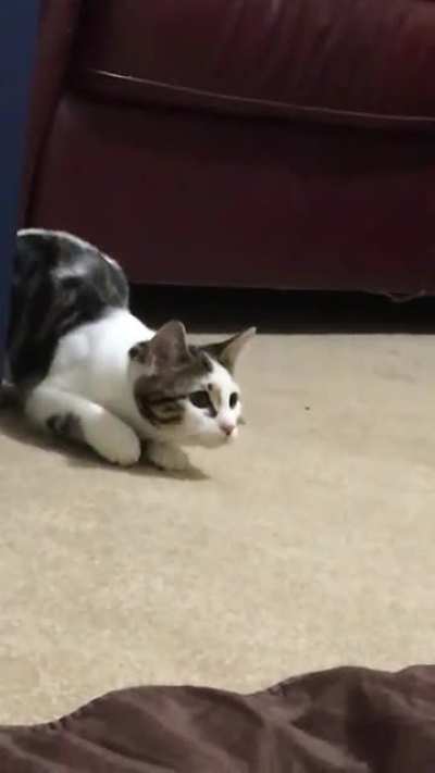 She hates feet