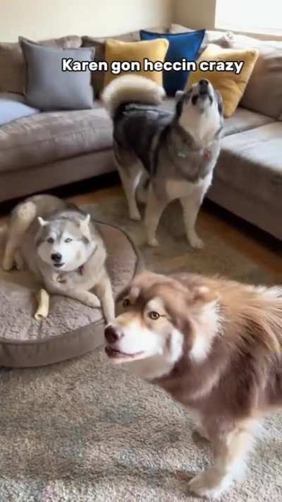 Maybe maybe maybe