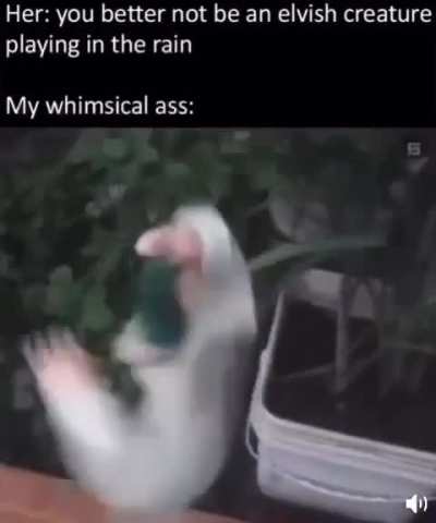 Whimsical moment